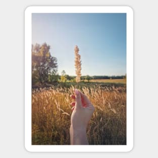 holding a foxtail Sticker